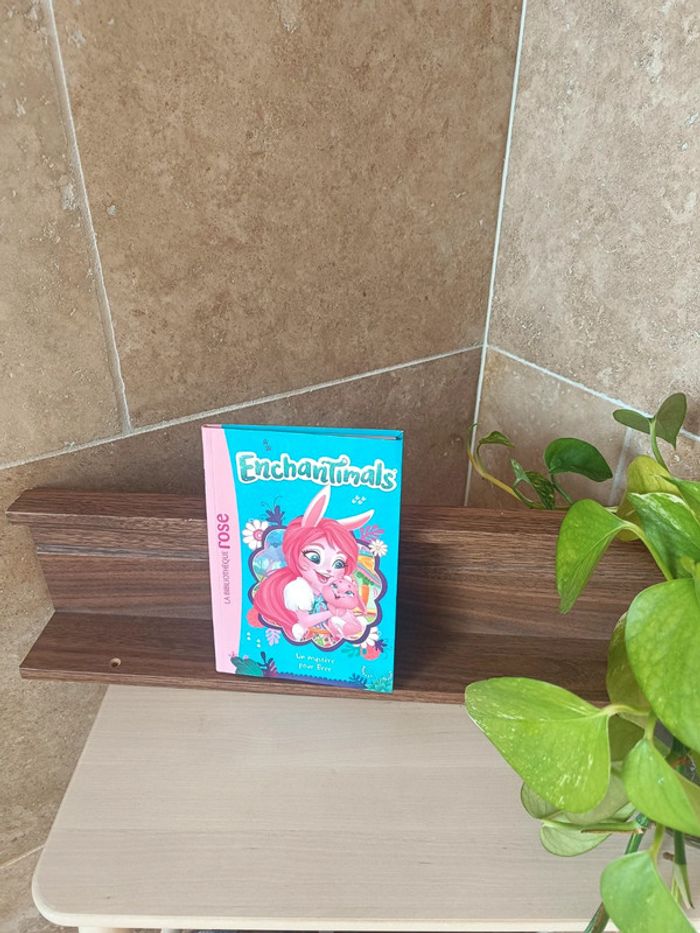 Livre enchantimals