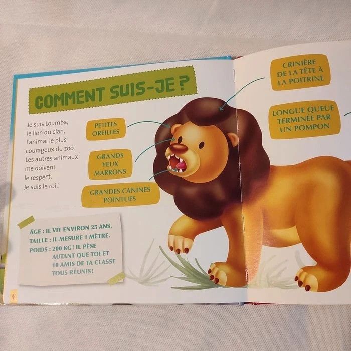 Loumba le lion + figurine - photo numéro 3