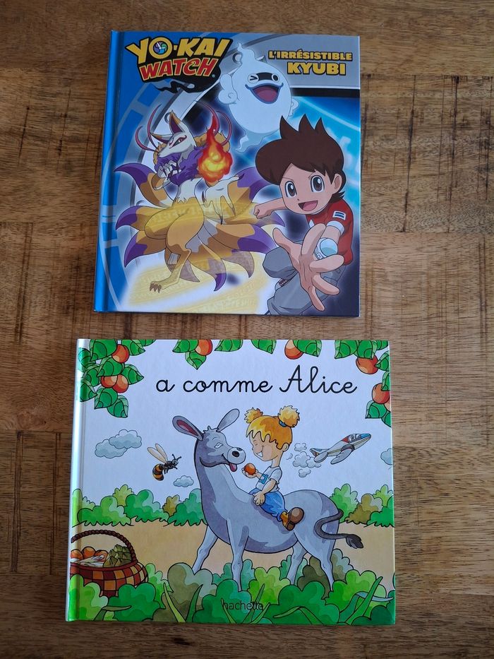 Lot 2 livres enfants