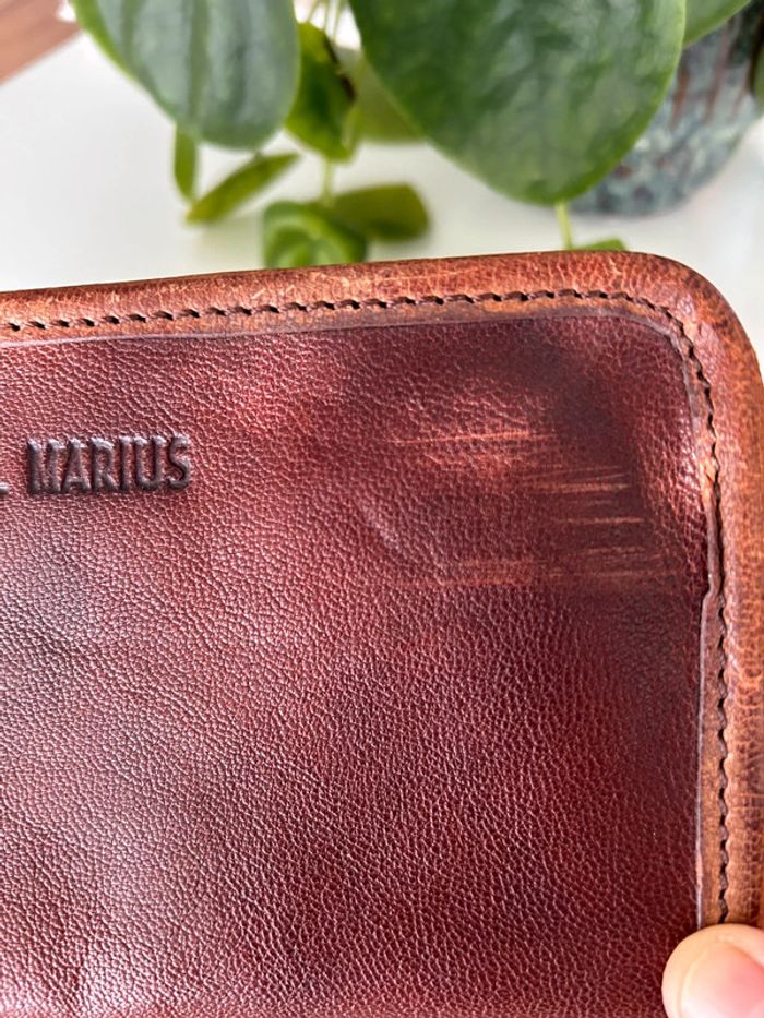 Mon compagnon Le Naturel Paul Marius - photo numéro 7