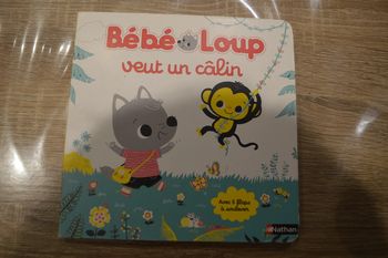 Livre avec flaps à soulever  Bébé loup veut un câlin Nathan