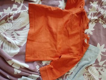 2 sweats garçon 9 mois