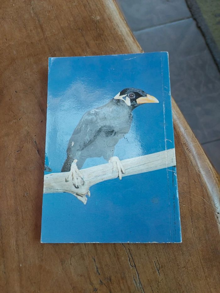 Livre le guide des mainates - photo numéro 2