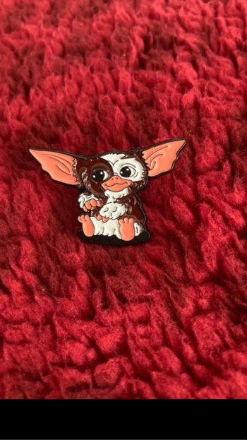 Pin’s guizmo