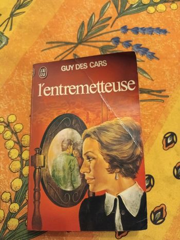 Livre l entremetteuse
