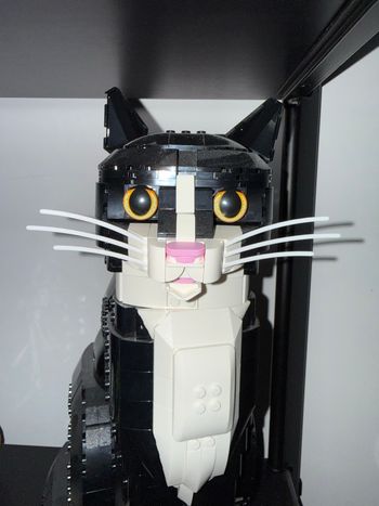 Moustache chat lego 21349