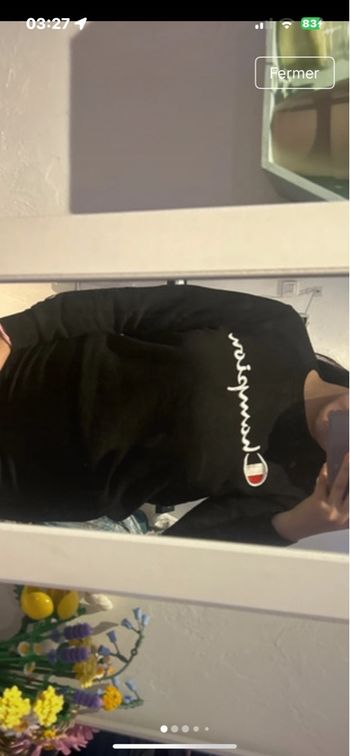 Pull champion 