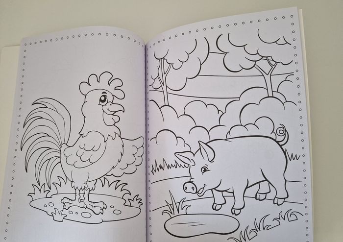 Livre de coloriage neuf - photo numéro 3