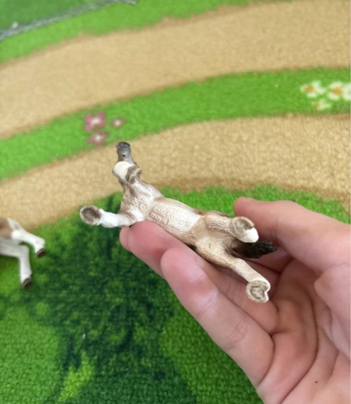 Schleich poulain - photo numéro 3