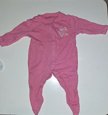 Pyjama rose