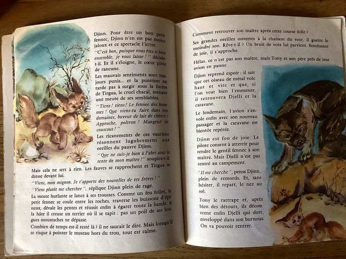 Livre « Djinn des sables » - photo numéro 6