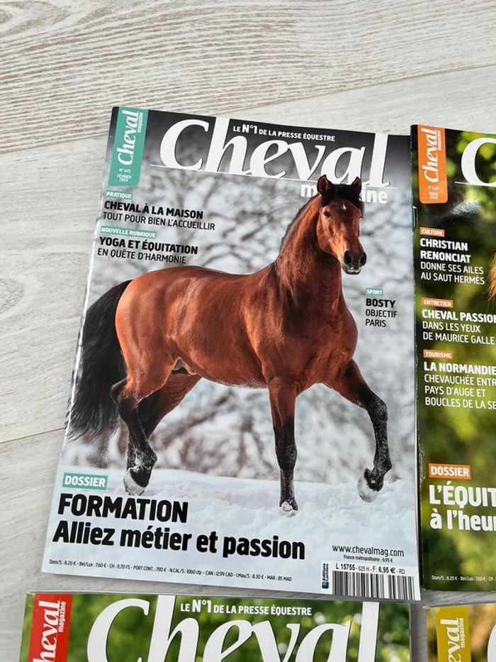Cheval magazine collection 2024 - photo numéro 2