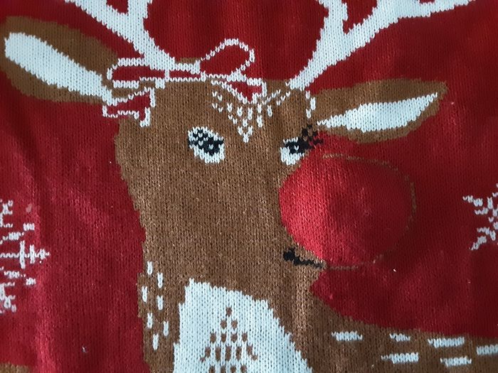 Pull de Noël - photo numéro 2