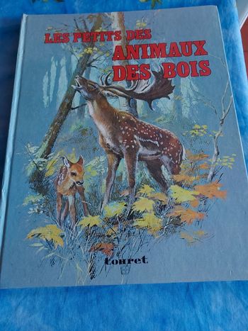 Bande dessinée pour enfant Les animaux des bois