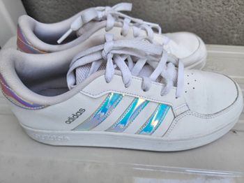 Basket Adidas