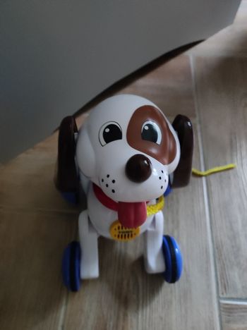 Chien tomy