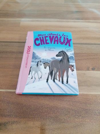 Livre mes amis les chevaux La surprise de l hiver