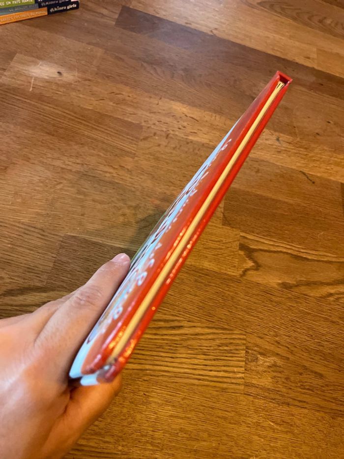 Livre Les histoires de Lola Lola joue au football - photo numéro 5