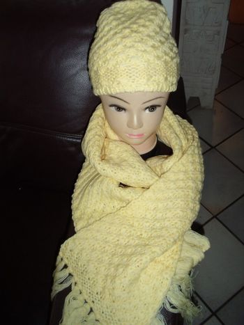 bonnet et écharpe - NEUF - couleur au choix