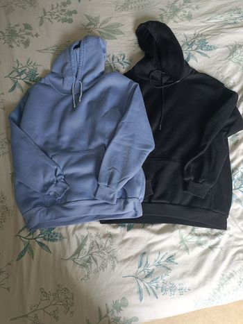 2 Pulls à capuche