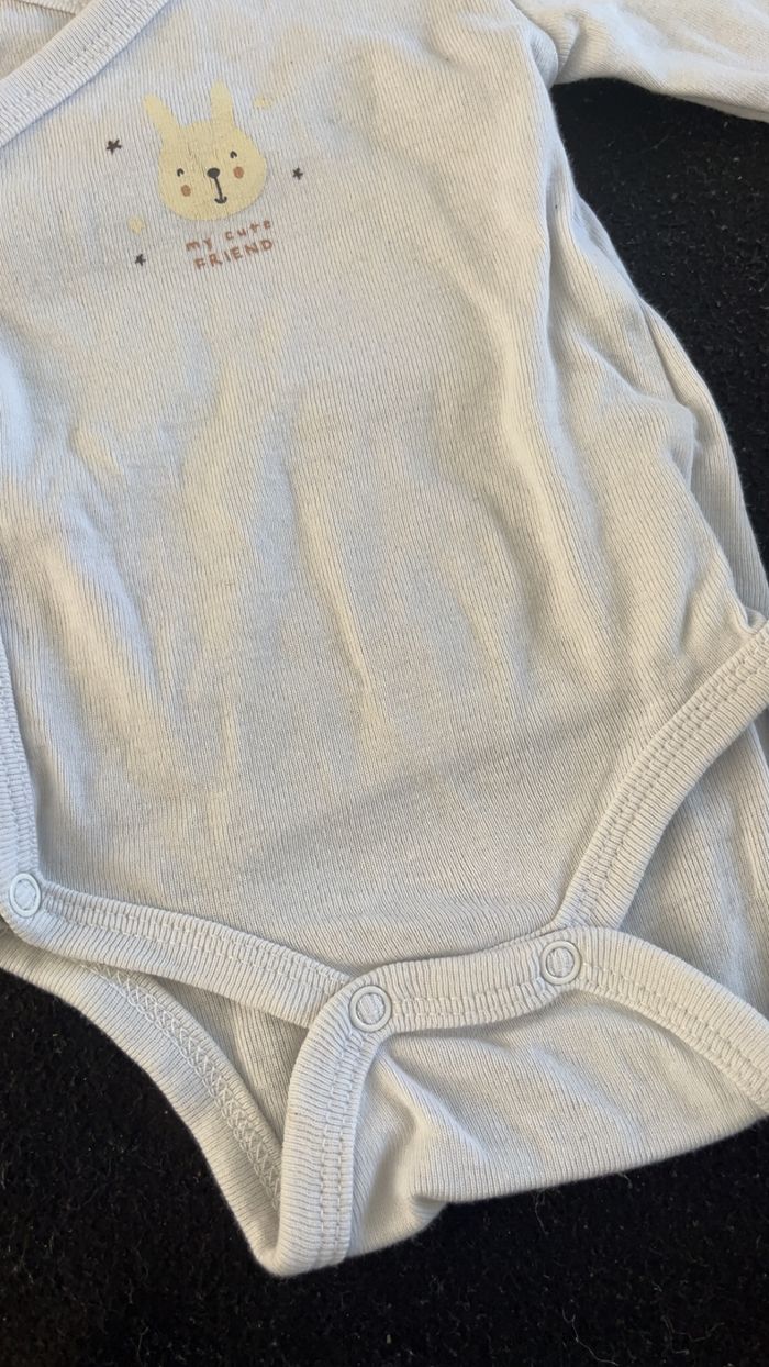 Bodie 3 mois - photo numéro 2