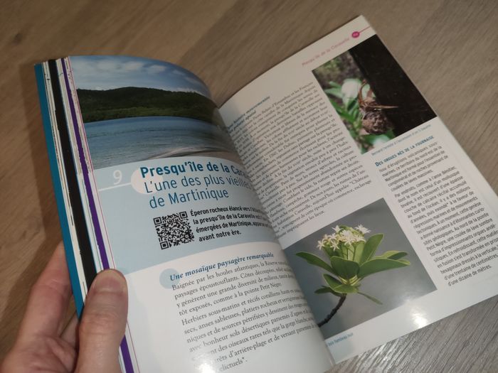 Livre neuf papier glacé La Martinique - photo numéro 3