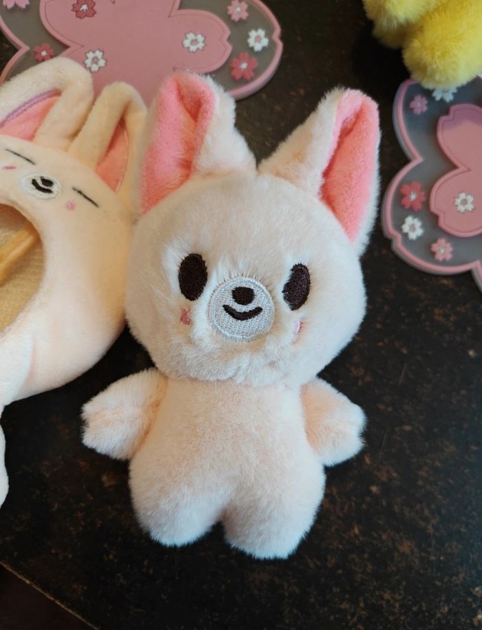 Foxi.ny i.n stray kids - photo numéro 3