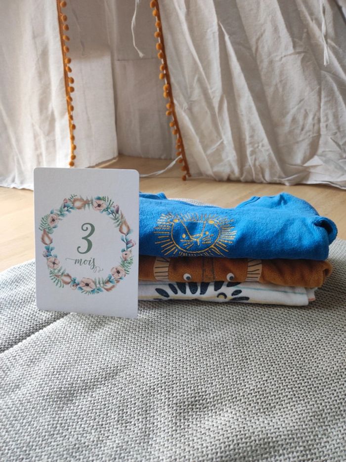 Pyjamas Lion