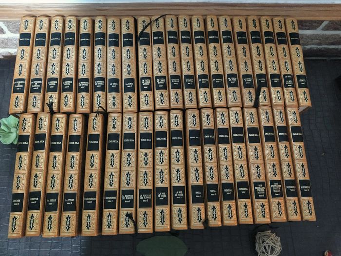 Emilie Zola - Lot de 38 livres / Éditions Famot 1979