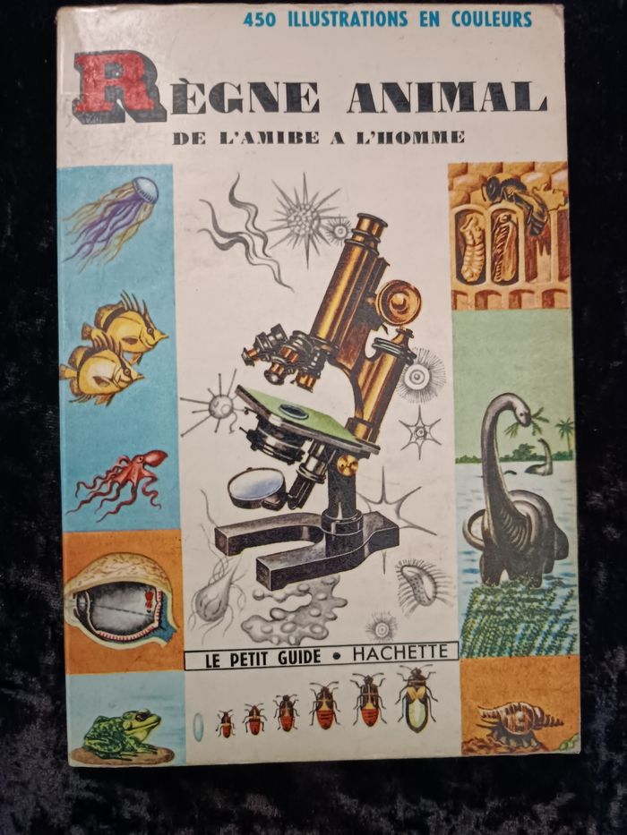 Petit guide règne animal Hachette - photo numéro 3
