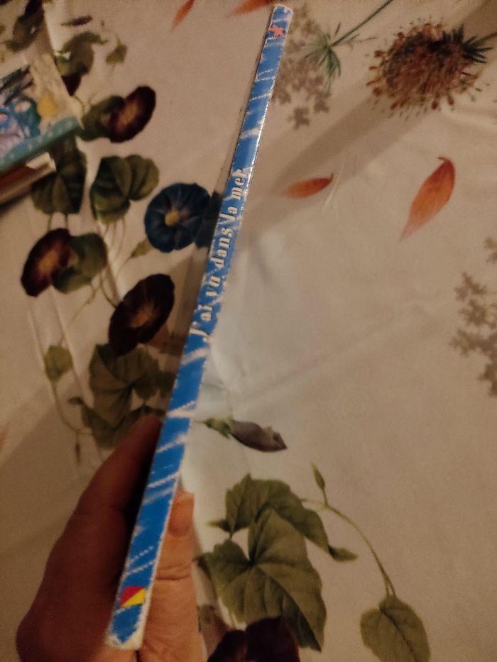 J'ai vu la mer - photo numéro 3