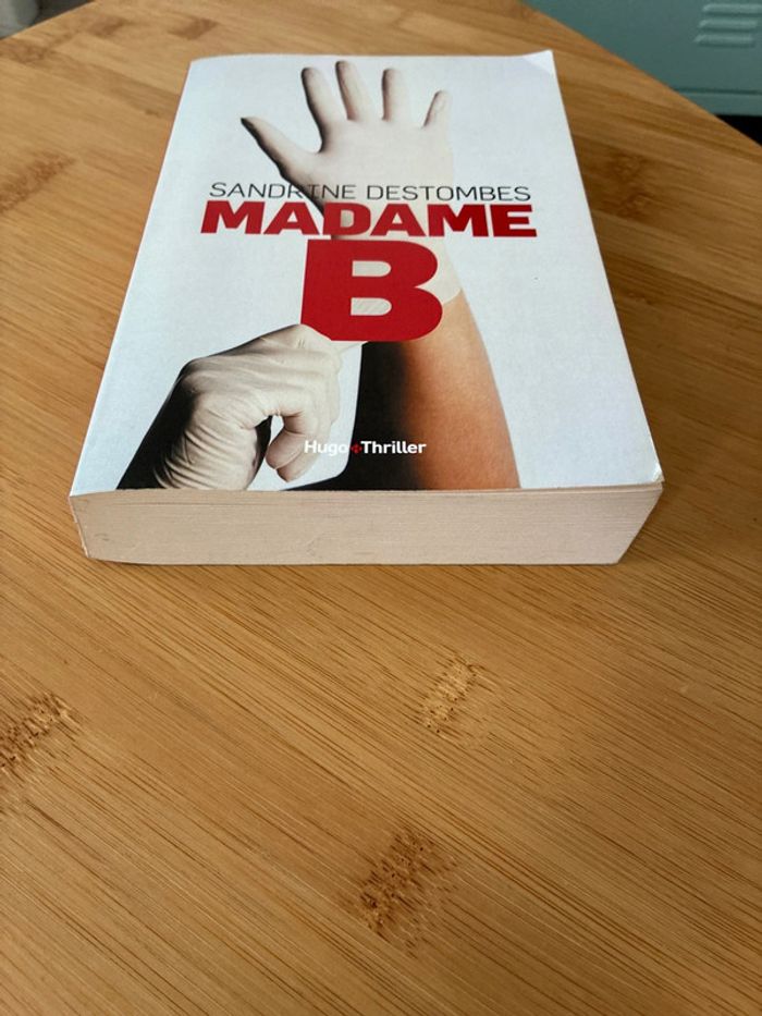 Madame B de Sandrine Destombes - photo numéro 2