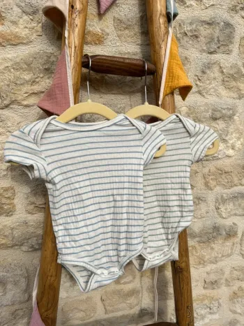Lot 2 bodies