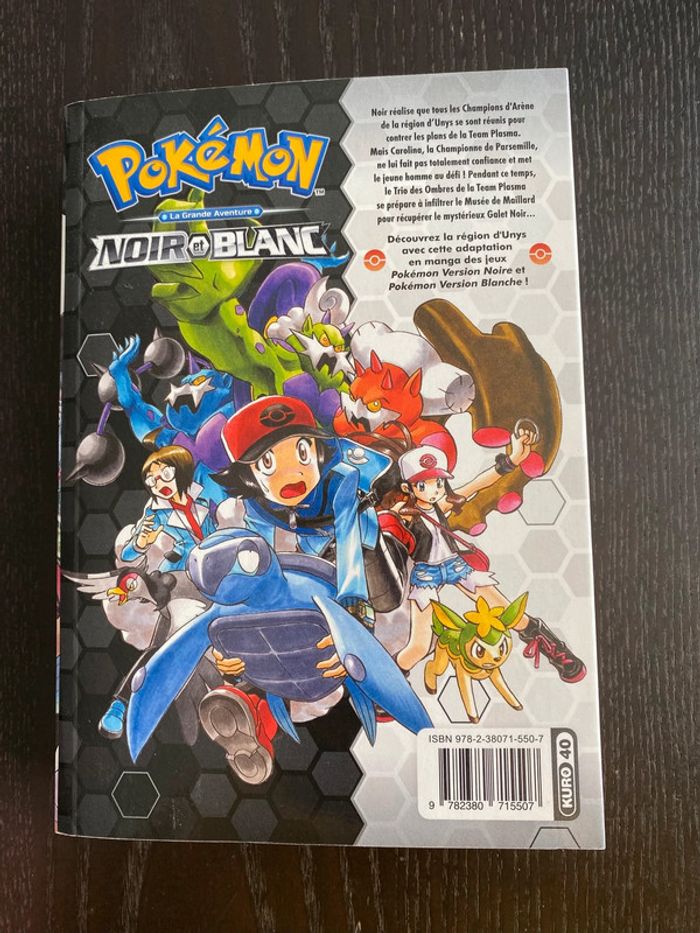Pokémon noir et blanc 3 - photo numéro 2
