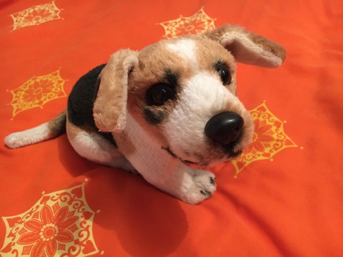 Peluche chien - photo numéro 3