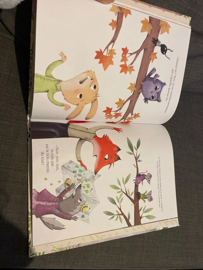 Album jeunesse Quelle histoire Nestor! - photo numéro 3