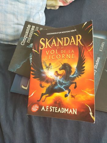 Skandar et le vol de la licorne
