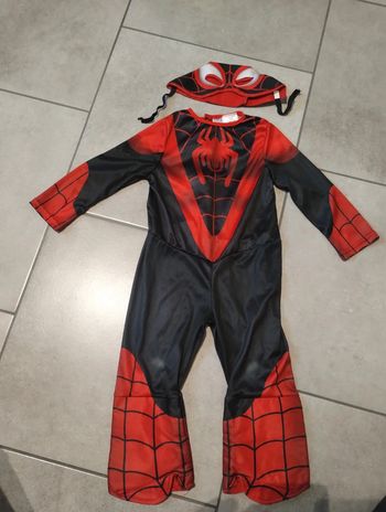 Déguisement spiderman