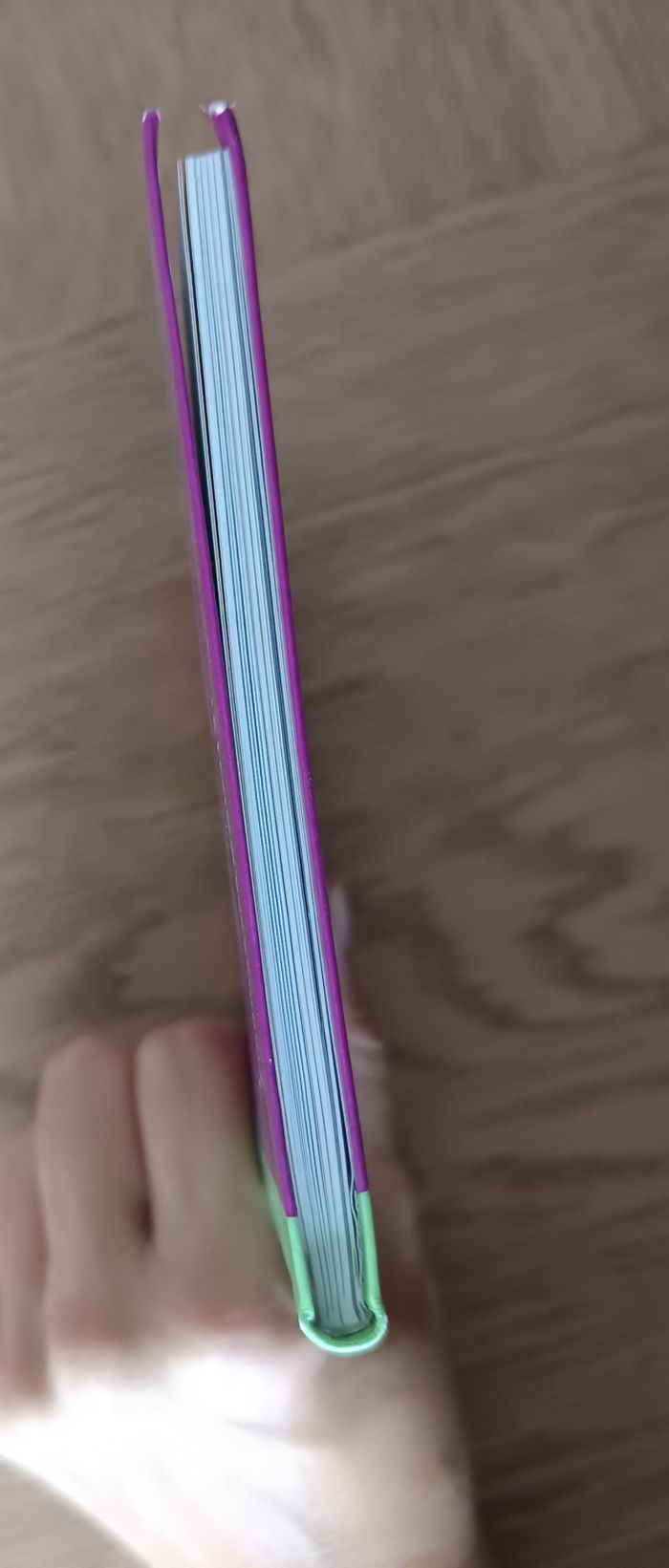 Livre Pokémon - photo numéro 5