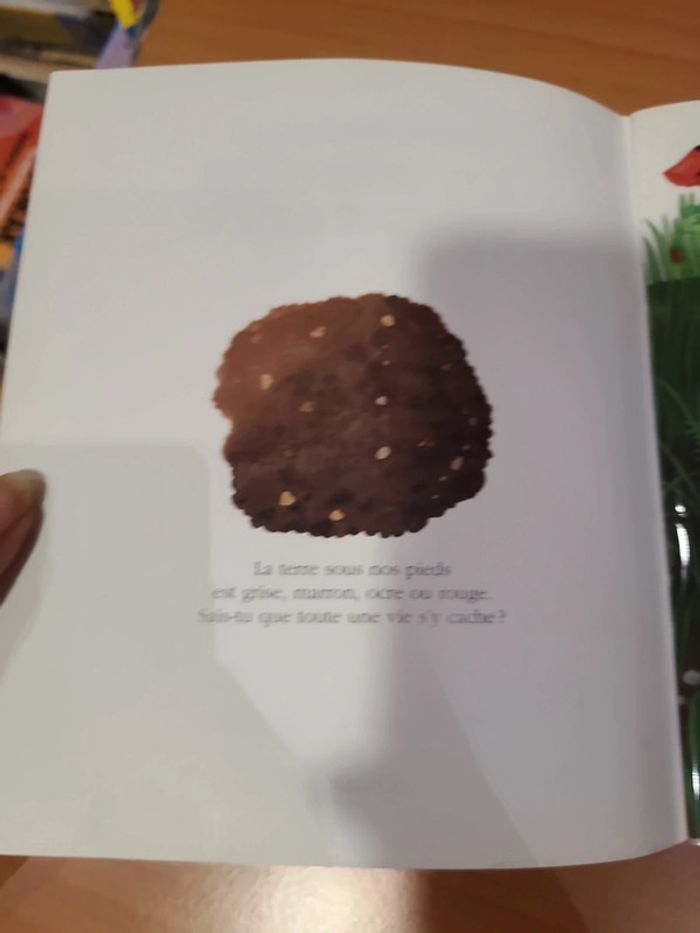 Cache cache le monde sous terre - photo numéro 6