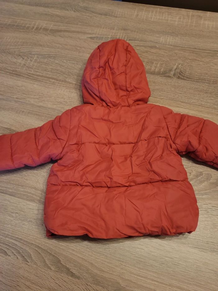 Veste - photo numéro 3