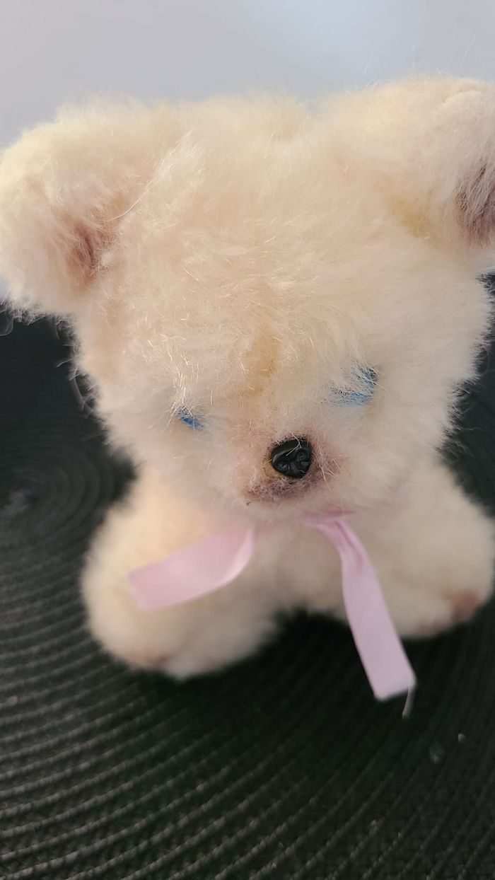 vintage peluche chat yeux bleus - photo numéro 2