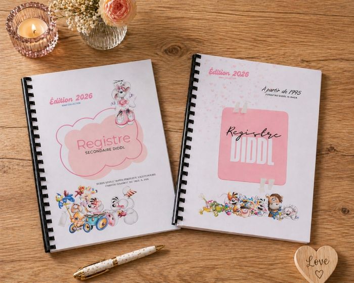 2x Registres / Référentiel / Livret diddl - photo numéro 1
