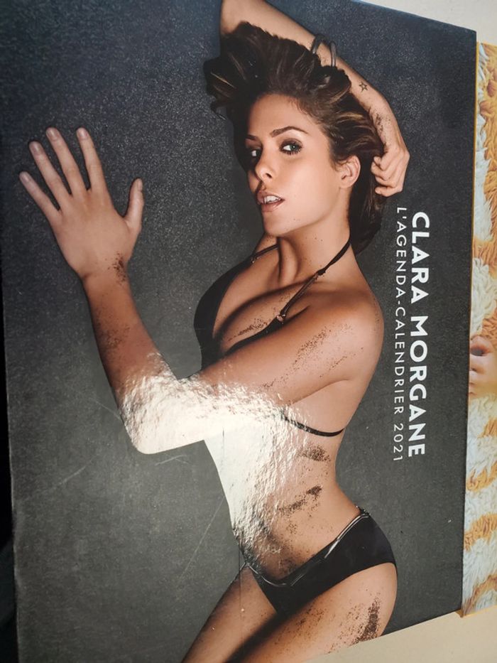 Vends 3 calendrier Clara Morgane . 2021 , 2022 et 2023. - photo numéro 2