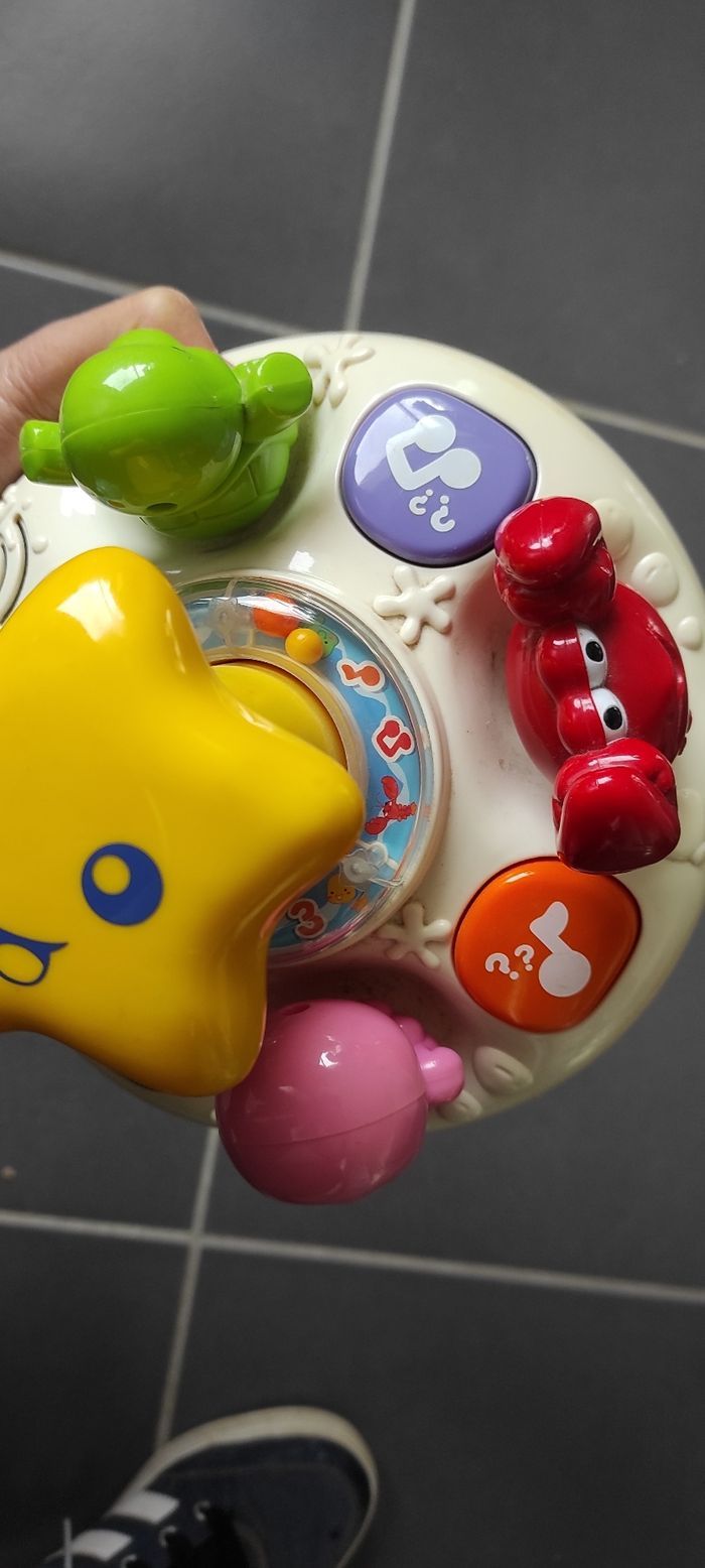 Lumi toupie des mers - photo numéro 4