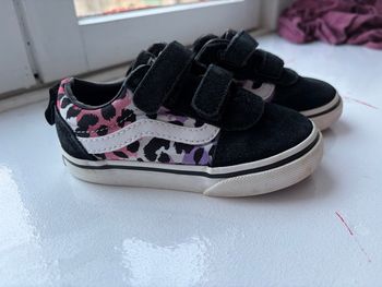 Basket vans 