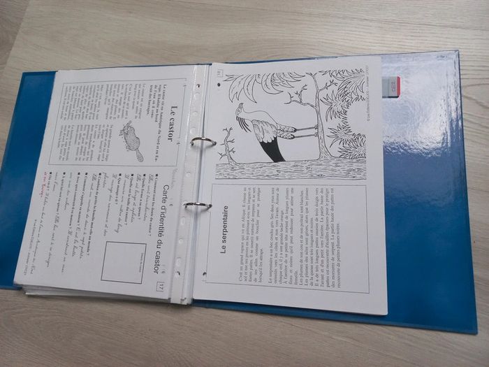 Classeur lecture documentaire cp /ce1 animalier - photo numéro 5