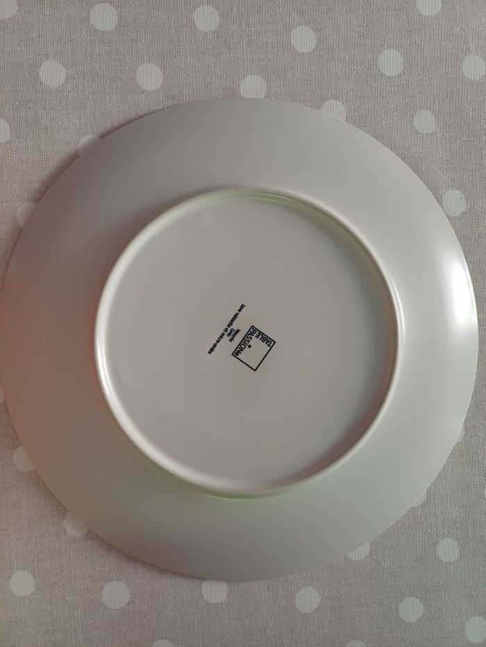 Lot 6 assiettes Grès Terre de passion - photo numéro 3