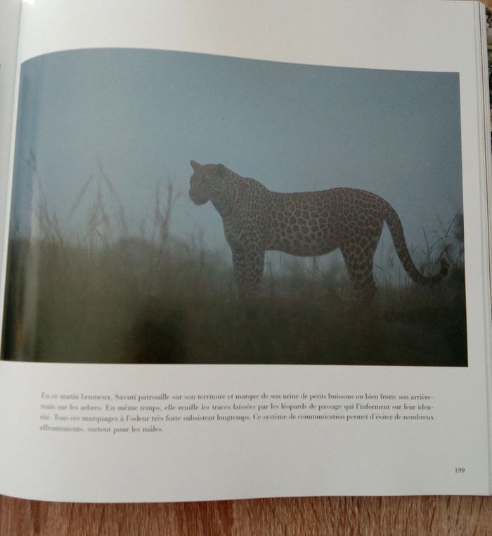 C & M. Denis-Huot - La savane au fil des saisons - photo numéro 4