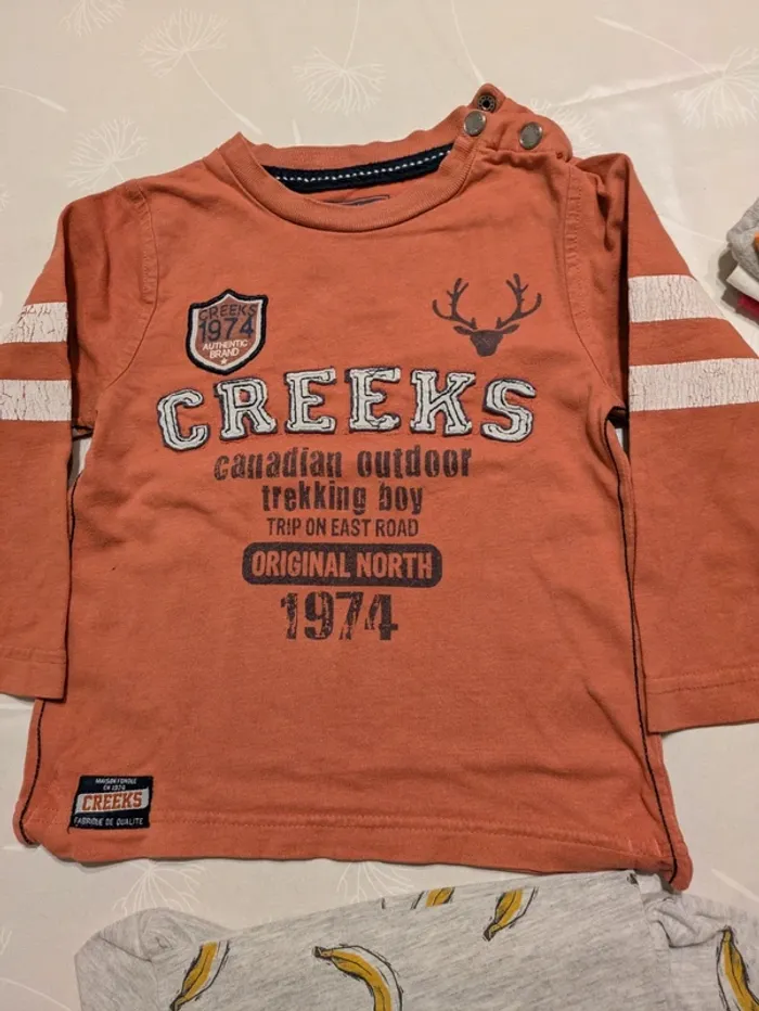 Lot de 6 t-shirts ML 2/3ans - photo numéro 5
